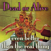 Dead or Alive - Even Better Than The Real Thing (Single)