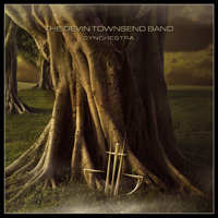 Devin Townsend Project - Synchestra
