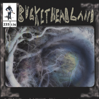 Buckethead - Oneiric Pool