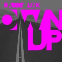 Rabbit Junk - Own Up (Single)