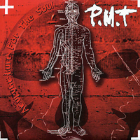 P.M.T - Acupuncture for the Soul