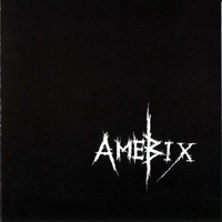 AmebiX - Make Some Fuckin' Noise