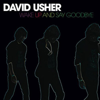 David Usher - Wake Up And Say Goodbye