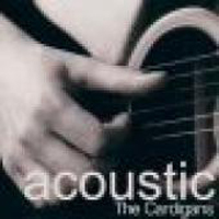 Cardigans - Acoustic