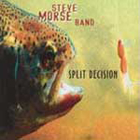 Steve Morse - Split Decision