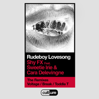 Shy FX - Rudeboy Lovesong (Single)