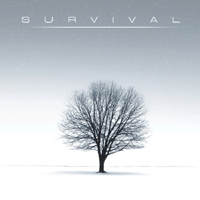 Steve Kielty - Survival
