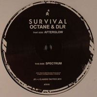 Steve Kielty - Afterglow / Spectrum (Feat.)