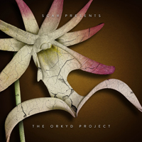 Steve Kielty - The Orkyd Project (as SCAR)