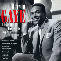 Marvin Gaye - I Heard It Through The Grapevine!