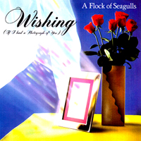 Flock Of Seagulls - Wishing (If I Had a Photograph of You (12