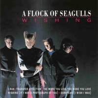 Flock Of Seagulls - Wishing