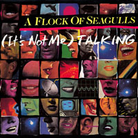 Flock Of Seagulls - (It's Not Me) Talking (12
