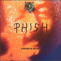 Phish - A Picture of Nectar