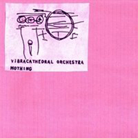 Vibracathedral Orchestra - Mothing