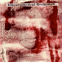 Vibracathedral Orchestra - Hollin