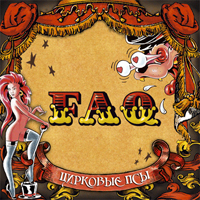 FAQ -  