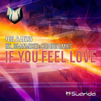 DJ Feel - If You Feel Love - The Remixes