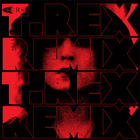 T. Rex - T. Rex vs. KCRW Soundclash! (Remix EP) 