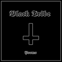 Black Tribe - Promo