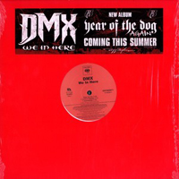 DMX - We In Here (Single)