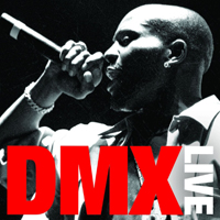 DMX - Live