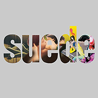 Suede - Beautiful Ones: An Introduction to Suede