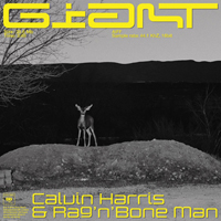Calvin Harris - Giant (Single) (feat. Rag'n'Bone Man)