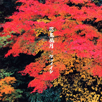 Ketsumeishi - Kachou Fuugetsu (Single)