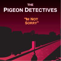 Pigeon Detectives - I'm Not Sorry (Single) (CD 1)