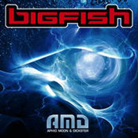 AMD - Bigfish