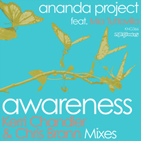 Ananda Project - Awareness (Remixes) 