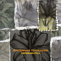 Antennas To Heaven - Hermeneutics