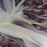 Kasper Bjorke - Seabird (Tensnake Remix)
