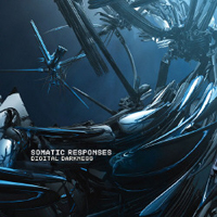 Somatic Responses - Digital Darkness