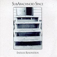 Subarachnoid Space - Endless Renovation