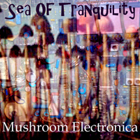 Sea Of Tranquility - Mushroom Electronica