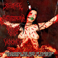 Defeated Sanity - Unleashing The Seed Of Parricide [Split]