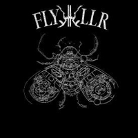 FlyKKiller - Experiments In Violent Light