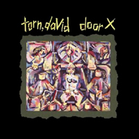 David Torn - Door X