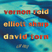 David Torn - Guitar Oblique (with Vernon Reid & Elliott Sharp)