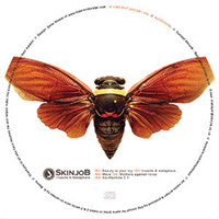 Skinjob - Insects & Metaphors