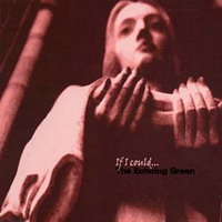 Echoing Green - If I Could...
