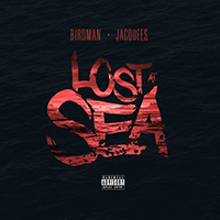 Birdman - Lost At Sea 