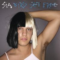 Sia - Bird Set Free (Single)