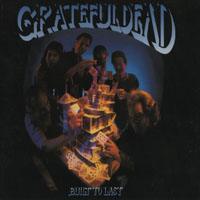 Grateful Dead - Built To Last (Remastered 2004)