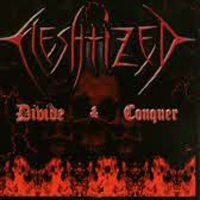 Fleshtized - Divide & Conquer