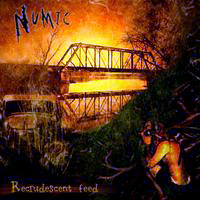 Numic - Recrudescent Feed