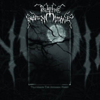 Primitive Graven Image - Traversing The Awesome Night