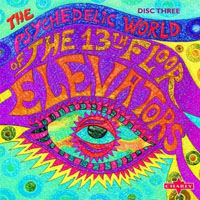 13th Floor Elevators - The Psychedelic World of the 13th Floor Elevators (CD 3)